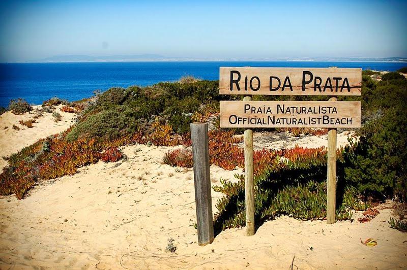 Moradia Da Bananeira Villa Lagoa de Albufeira ภายนอก รูปภาพ